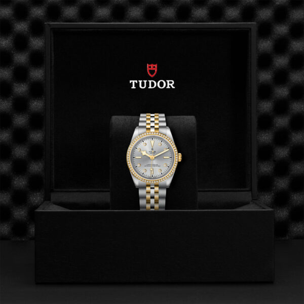 Black Bay 31/36/39/41 | 79653 | Steel and Gold | M79653-0006 | Tudor Official Retailer - Siam Swiss