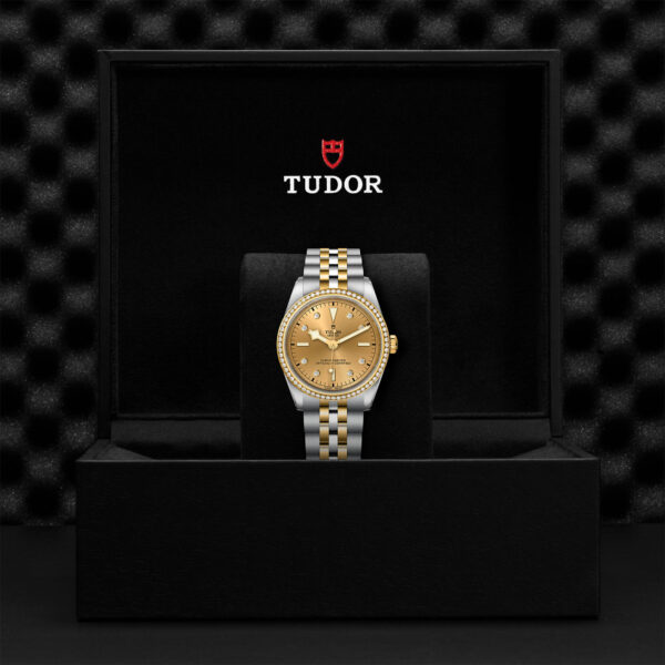 Black Bay 31/36/39/41 | 79653 | Steel and Gold | M79653-0007 | Tudor Official Retailer - Siam Swiss