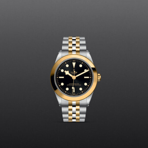 Black Bay 31/36/39/41 | 79663 | Steel and Gold | M79663-0001 | Tudor Official Retailer - Siam Swiss