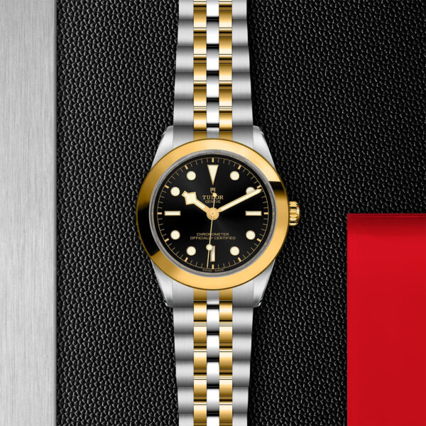 Black Bay 31/36/39/41 | 79663 | Steel and Gold | M79663-0001 | Tudor Official Retailer - Siam Swiss