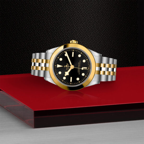 Black Bay 31/36/39/41 | 79663 | Steel and Gold | M79663-0001 | Tudor Official Retailer - Siam Swiss