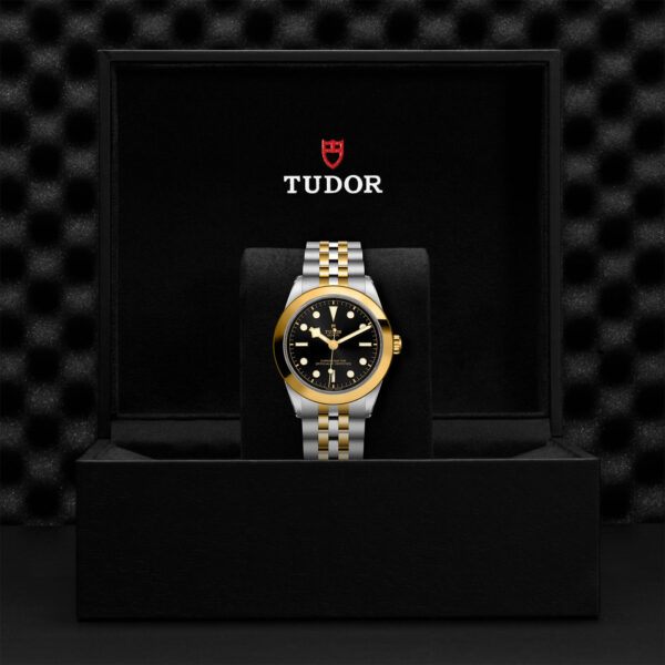 Black Bay 31/36/39/41 | 79663 | Steel and Gold | M79663-0001 | Tudor Official Retailer - Siam Swiss