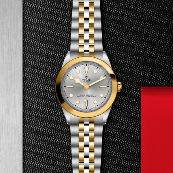 Black Bay 31/36/39/41 | 79663 | Steel and Gold | M79663-0002 | Tudor Official Retailer - Siam Swiss