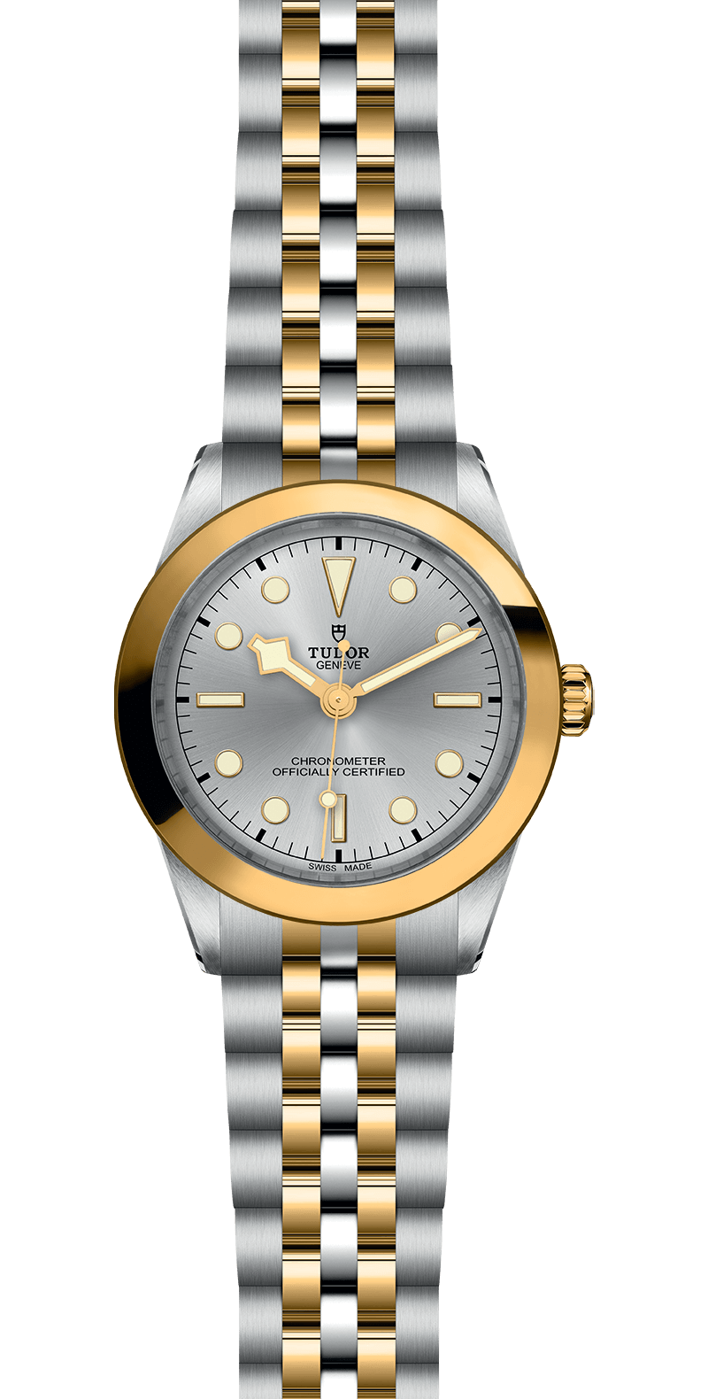 Black Bay 31/36/39/41 | 79663 | Steel and Gold | M79663-0002 | Tudor Official Retailer - Siam Swiss