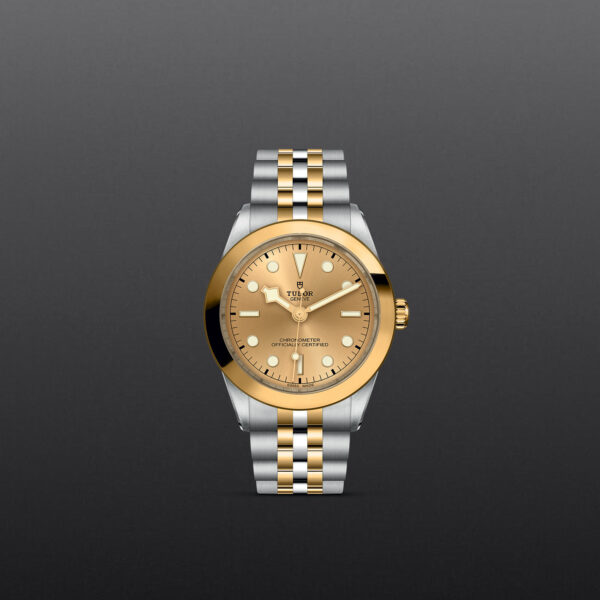 Black Bay 31/36/39/41 | 79663 | Steel and Gold | M79663-0005 | Tudor Official Retailer - Siam Swiss