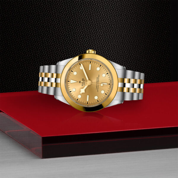 Black Bay 31/36/39/41 | 79663 | Steel and Gold | M79663-0005 | Tudor Official Retailer - Siam Swiss