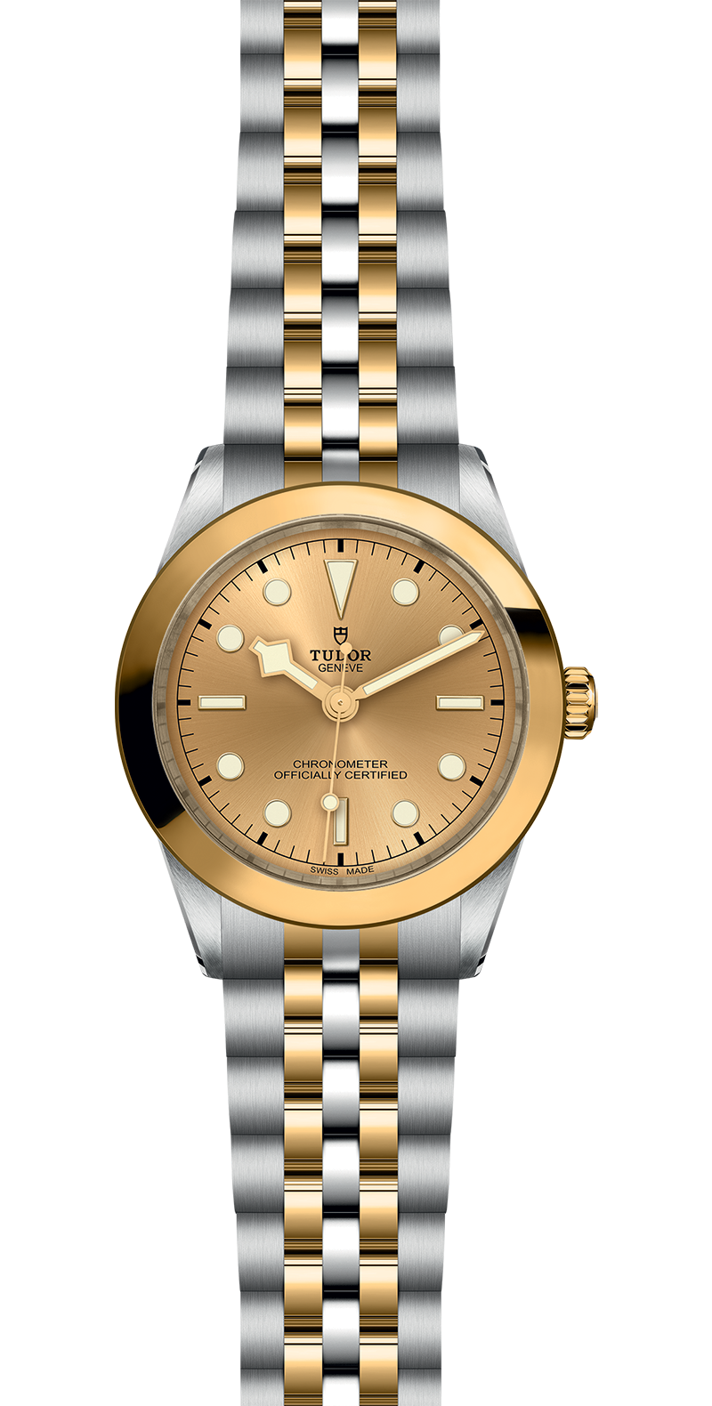 Black Bay 31/36/39/41 | 79663 | Steel and Gold | M79663-0005 | Tudor Official Retailer - Siam Swiss