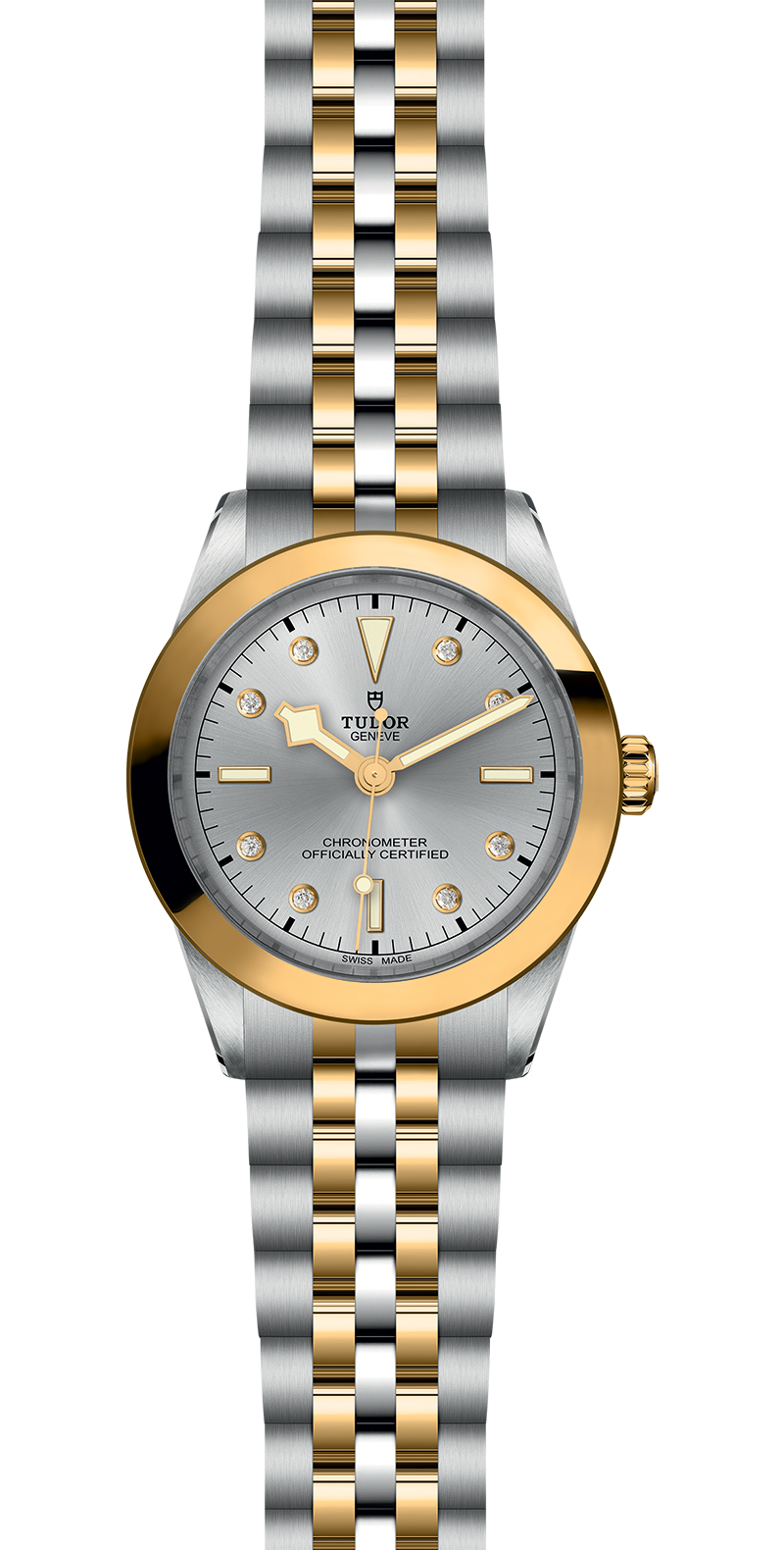 Black Bay 31/36/39/41 | 79663 | Steel and Gold | M79663-0007 | Tudor Official Retailer - Siam Swiss