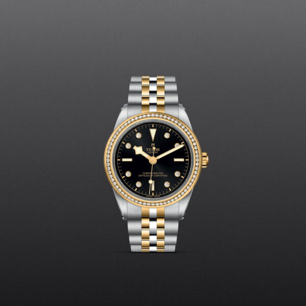 Black Bay 31/36/39/41 | 79673 | Steel and Gold | M79673-0005 | Tudor Official Retailer - Siam Swiss