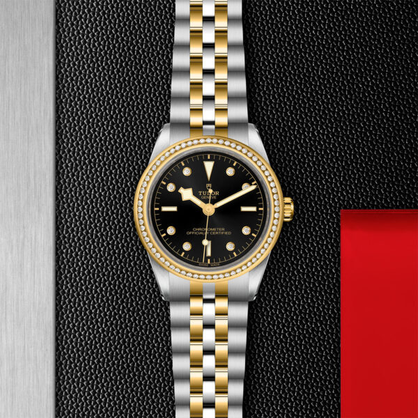 Black Bay 31/36/39/41 | 79673 | Steel and Gold | M79673-0005 | Tudor Official Retailer - Siam Swiss