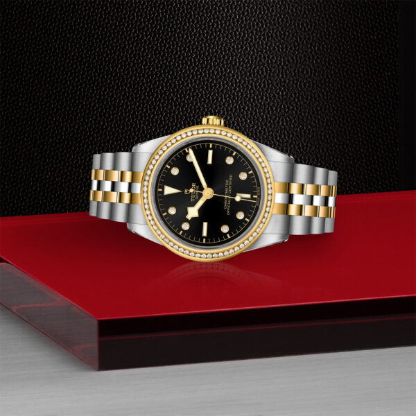 Black Bay 31/36/39/41 | 79673 | Steel and Gold | M79673-0005 | Tudor Official Retailer - Siam Swiss