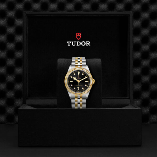 Black Bay 31/36/39/41 | 79673 | Steel and Gold | M79673-0005 | Tudor Official Retailer - Siam Swiss