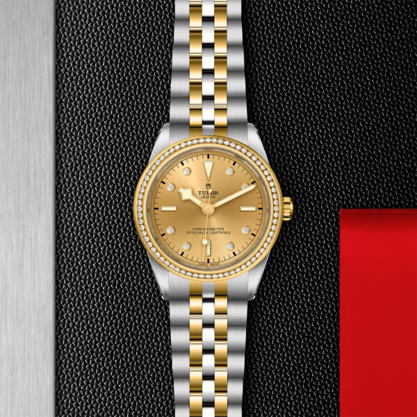 Black Bay 31/36/39/41 | 79673 | Steel and Gold | M79673-0007 | Tudor Official Retailer - Siam Swiss