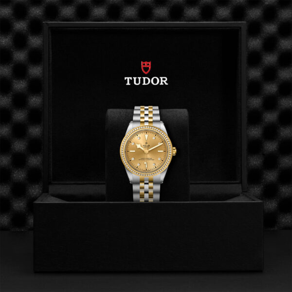 Black Bay 31/36/39/41 | 79673 | Steel and Gold | M79673-0007 | Tudor Official Retailer - Siam Swiss