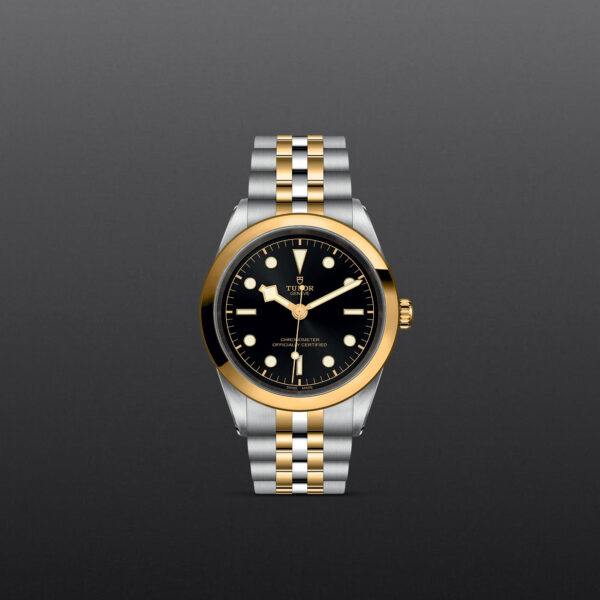 Black Bay 31/36/39/41 | 79683 | Steel and Gold | M79683-0001 | Tudor Official Retailer - Siam Swiss