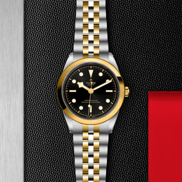 Black Bay 31/36/39/41 | 79683 | Steel and Gold | M79683-0001 | Tudor Official Retailer - Siam Swiss