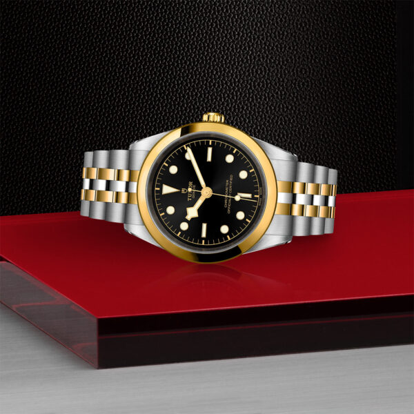 Black Bay 31/36/39/41 | 79683 | Steel and Gold | M79683-0001 | Tudor Official Retailer - Siam Swiss