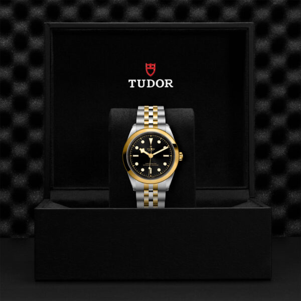 Black Bay 31/36/39/41 | 79683 | Steel and Gold | M79683-0001 | Tudor Official Retailer - Siam Swiss