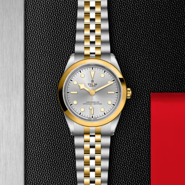 Black Bay 31/36/39/41 | 79683 | Steel and Gold | M79683-0002 | Tudor Official Retailer - Siam Swiss