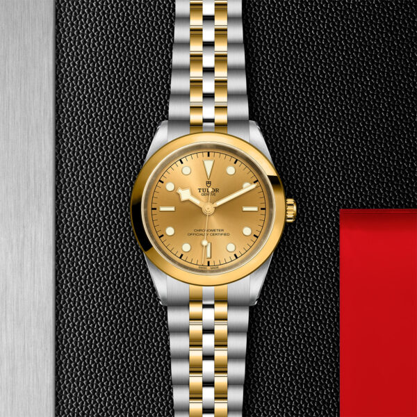 Black Bay 31/36/39/41 | 79683 | Steel and Gold | M79683-0005 | Tudor Official Retailer - Siam Swiss