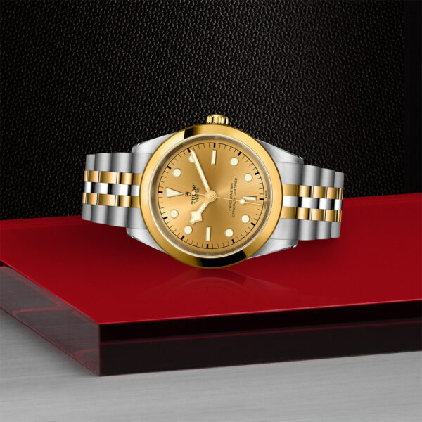 Black Bay 31/36/39/41 | 79683 | Steel and Gold | M79683-0005 | Tudor Official Retailer - Siam Swiss