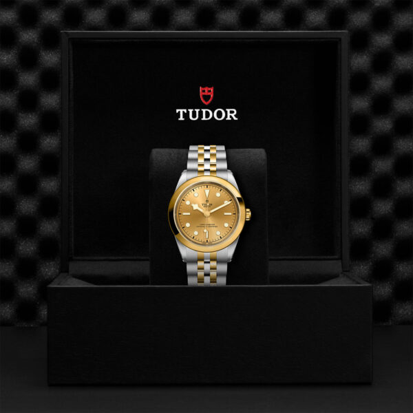 Black Bay 31/36/39/41 | 79683 | Steel and Gold | M79683-0005 | Tudor Official Retailer - Siam Swiss