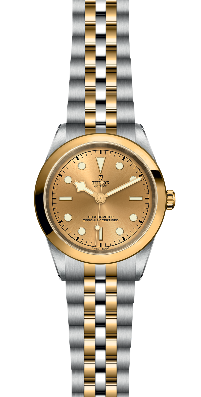 Black Bay 31/36/39/41 | 79683 | Steel and Gold | M79683-0005 | Tudor Official Retailer - Siam Swiss