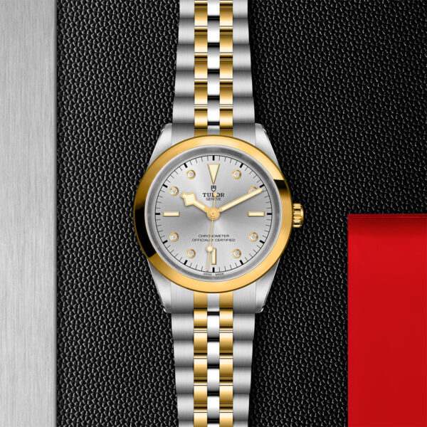 Black Bay 31/36/39/41 | 79683 | Steel and Gold | M79683-0007 | Tudor Official Retailer - Siam Swiss