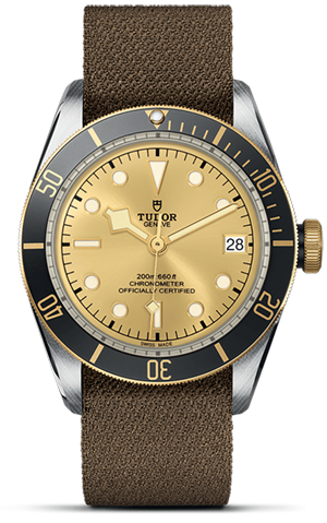 Black Bay | 79733N | Steel and Gold | M79733N-0006 | Tudor Official Retailer - Siam Swiss