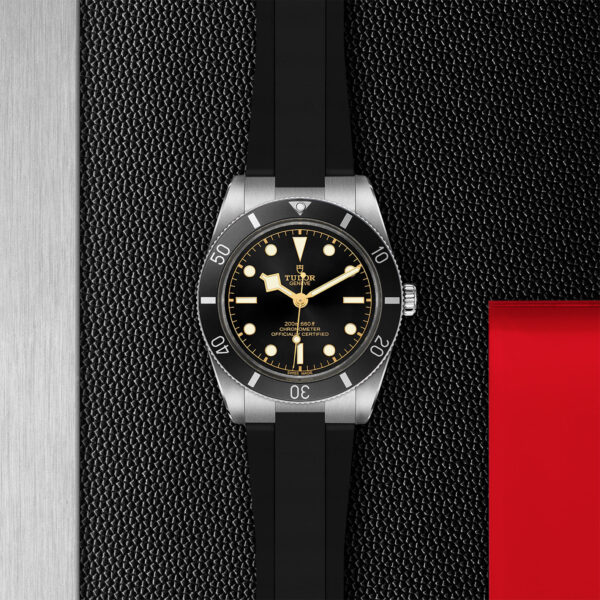 Black Bay 54 | 79000N | Steel | M79000N-0002 | Tudor Official Retailer - Siam Swiss