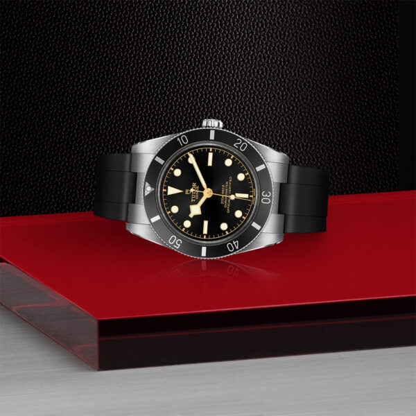 Black Bay 54 | 79000N | Steel | M79000N-0002 | Tudor Official Retailer - Siam Swiss