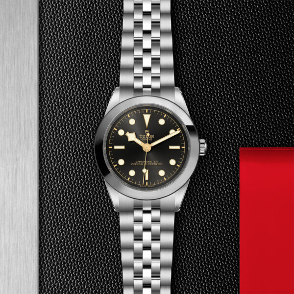 Black Bay 31/36/39/41 | 79660 | Steel | M79660-0001 | Tudor Official Retailer - Siam Swiss