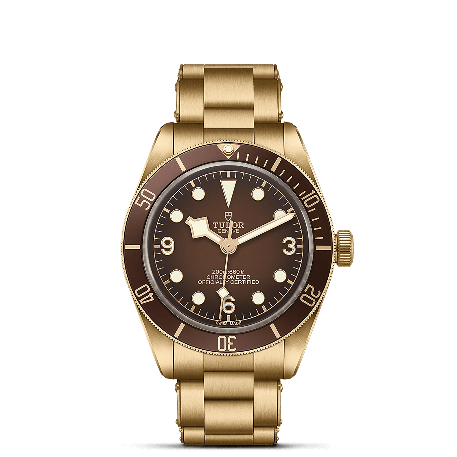 Black Bay 58 | 79012M | Bronze | M79012M-0001 | Tudor Official Retailer - Siam Swiss