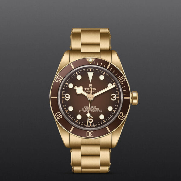 Black Bay 58 | 79012M | Bronze | M79012M-0001 | Tudor Official Retailer - Siam Swiss