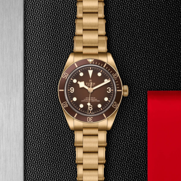 Black Bay 58 | 79012M | Bronze | M79012M-0001 | Tudor Official Retailer - Siam Swiss