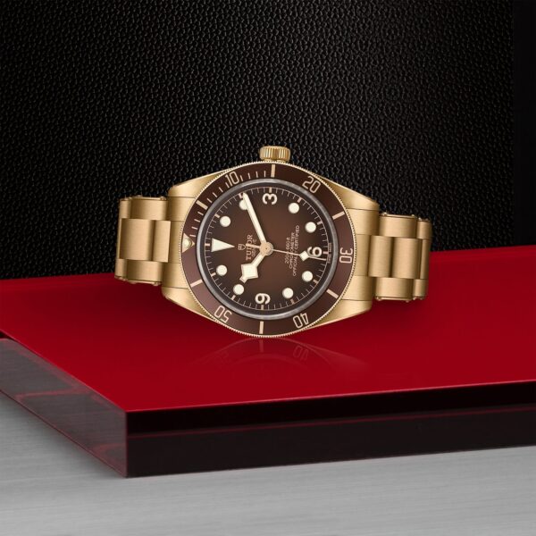 Black Bay 58 | 79012M | Bronze | M79012M-0001 | Tudor Official Retailer - Siam Swiss