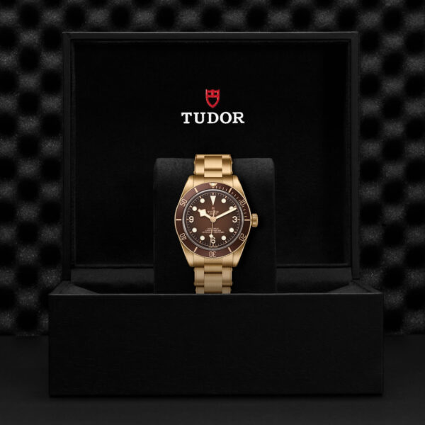 Black Bay 58 | 79012M | Bronze | M79012M-0001 | Tudor Official Retailer - Siam Swiss