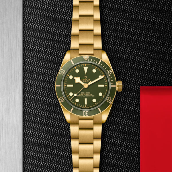 Black Bay 58 | 79018V | Gold | M79018V-0006 | Tudor Official Retailer - Siam Swiss