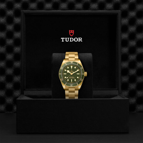 Black Bay 58 | 79018V | Gold | M79018V-0006 | Tudor Official Retailer - Siam Swiss