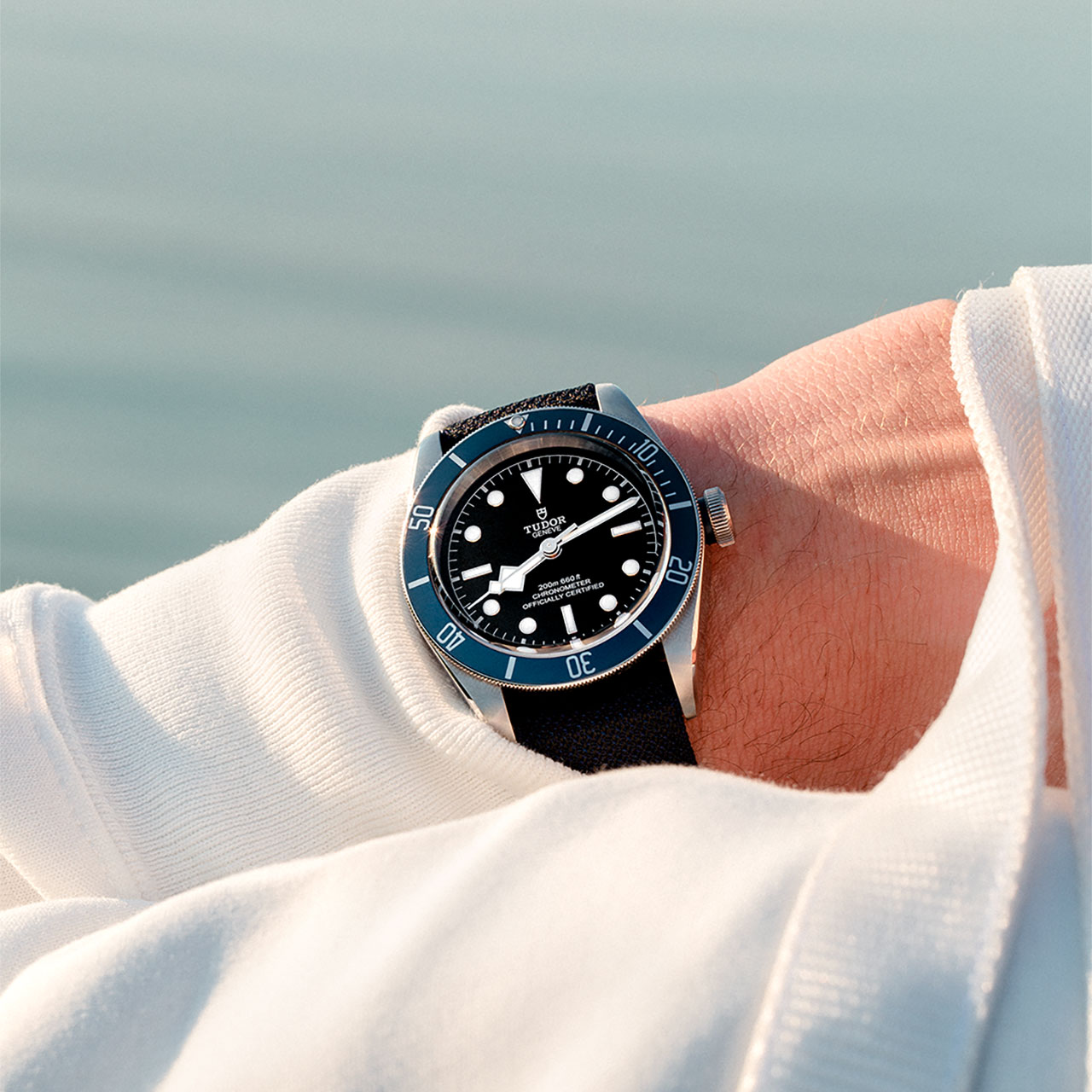 Black Bay | 79230B | Steel | M79230B-0007 | Tudor Official Retailer - Siam Swiss