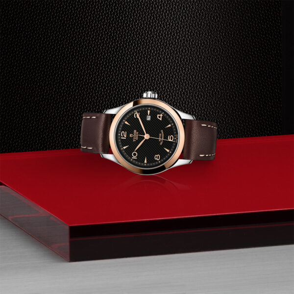 1926 | 91351 | Steel and Gold | M91351-0007 | Tudor Official Retailer - Siam Swiss