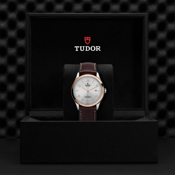 1926 | 91651 | Steel and Gold | M91651-0005 | Tudor Official Retailer - Siam Swiss